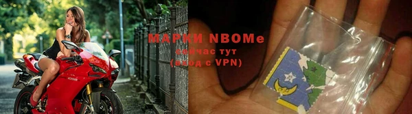 винт Алзамай